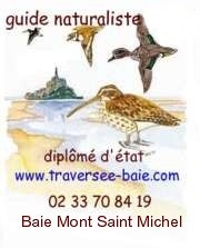 logo didier lavadoux guide mont saint michel